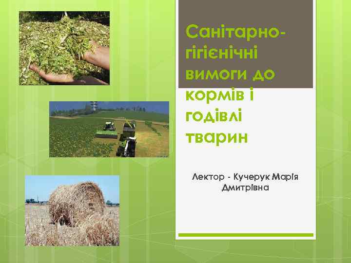Санітарногігієнічні вимоги до кормів і годівлі тварин Лектор - Кучерук Марія Дмитрівна 