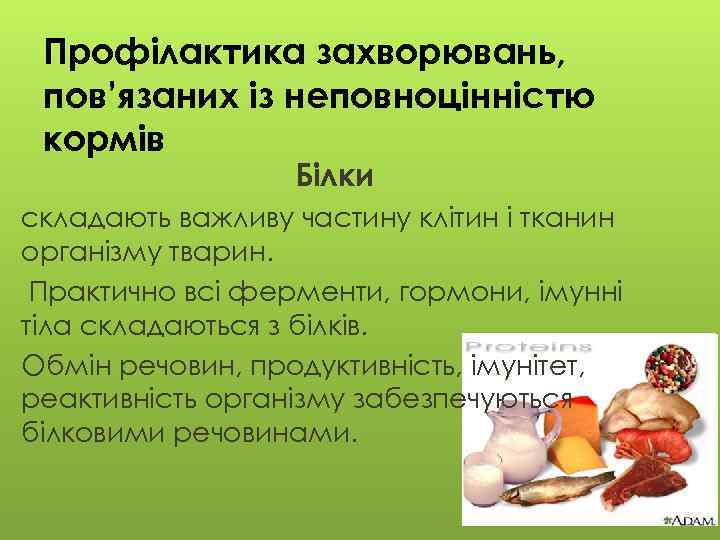 Профілактика захворювань, пов’язаних із неповноцінністю кормів Білки складають важливу частину клітин і тканин організму