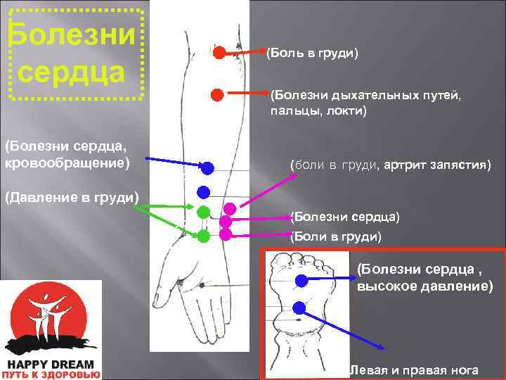 Болезни сердца (Боль в груди) 2구 (Болезни дыхательных путей, пальцы, локти) (Болезни сердца, кровообращение)