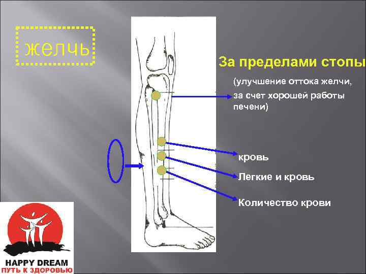 Как улучшить отток. Упражнения для выведения желчи. Для улучшения оттока желчи. Упражнения улучшающие отток желчи. Управление для оттока желчи.