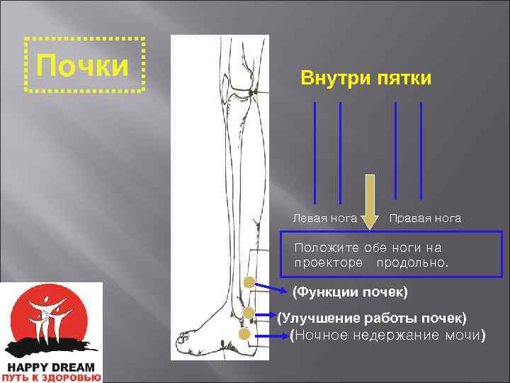 Почки Внутри пятки Левая нога Правая нога Положите обе ноги на проекторе продольно. (Функции