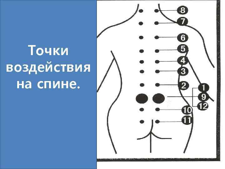 Точки воздействия на спине. 