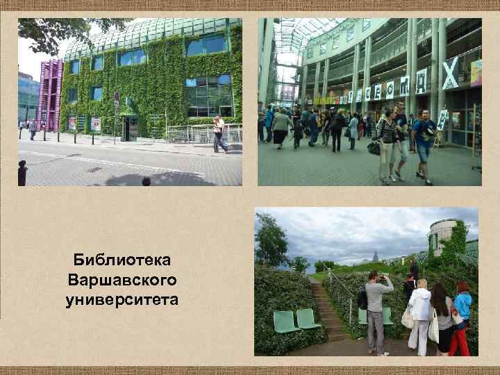 Библиотека Варшавского университета 