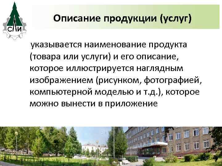 Описание продукции (услуг) указывается наименование продукта (товара или услуги) и его описание, которое иллюстрируется