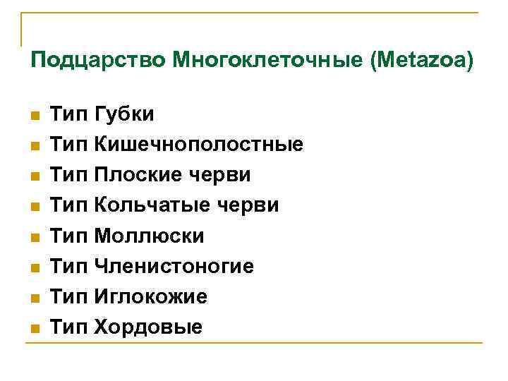 Подцарство Многоклеточные (Metazoa) n n n n Тип Губки Тип Кишечнополостные Тип Плоские черви