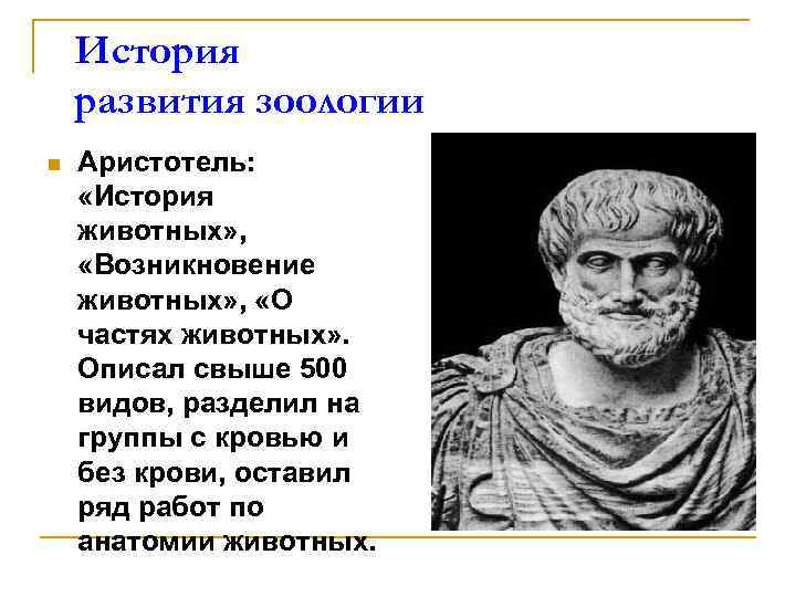 Аристотель ученый открытие. Аристотель история животных. Аристотель "о частях животных".