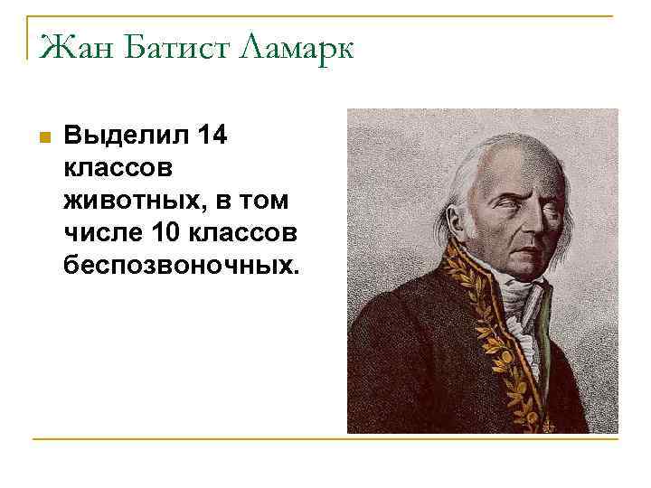 Жан Батист Ламарк n Выделил 14 классов животных, в том числе 10 классов беспозвоночных.