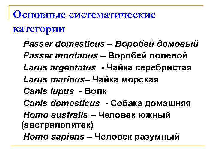 Основные систематические категории Passer domesticus – Воробей домовый Passer montanus – Воробей полевой Larus