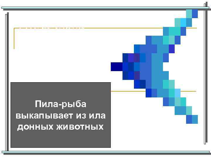 Пила-рыба выкапывает из ила донных животных 