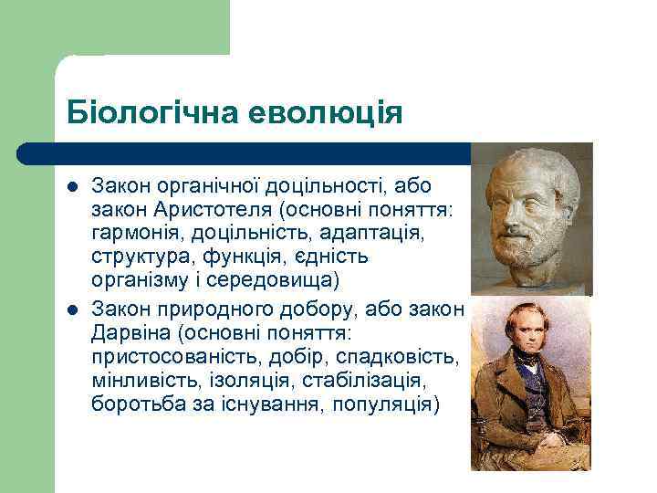 Біологічна еволюція l l Закон органічної доцільності, або закон Аристотеля (основні поняття: гармонія, доцільність,