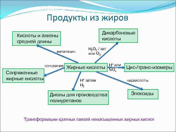 Продукты из жиров Дикарбоновые кислоты Кислоты и алкены средней длины метатезис основание Сопряженные жирные