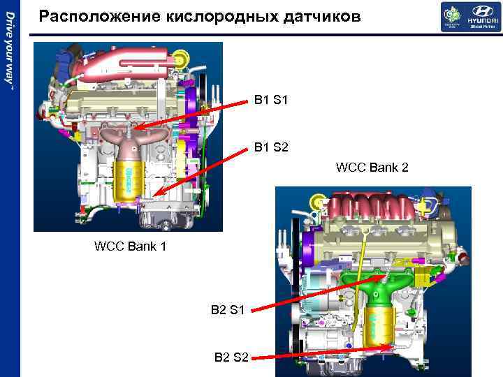 Расположение кислородных датчиков B 1 S 1 B 1 S 2 WCC Bank 1
