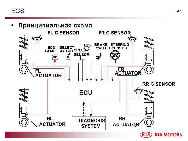ECS 45 • Принципиальная схема FL G SENSOR TPS ECS SELECT LAMP SWITCH SPEED