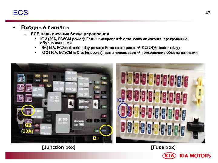 ECS • 47 Входные сигналы – ECS цепь питания блока управления • • •