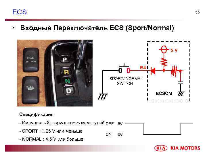 ECS 56 • Входные Переключатель ECS (Sport/Normal) 5 V B 4 SPORT/ NORMAL SWITCH