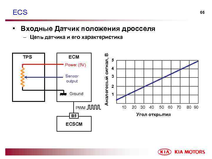 ECS 66 • Входные Датчик положения дросселя TPS ECM Power (5 V) Sensor output