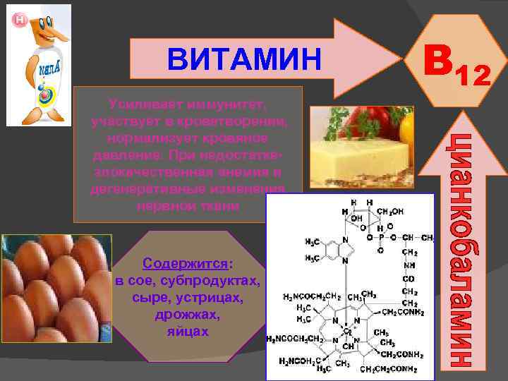 Витамины биология 9 таблица. Витамины содержащиеся в дрожжах. Витамин в2 презентация. Витамин б биология. Витамин b12 в кроветворении.