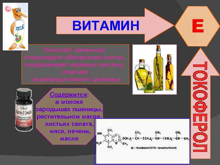 ВИТАМИН Помогает организму стимулирует обновление клеток, поддерживает нервную систему, отвечает за репродуктивное здоровье Содержится: