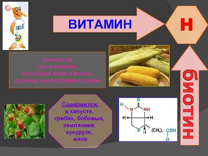 ВИТАМИН Влияет на сон и аппетит, состояние кожи и волос, уровень холестерина в крови