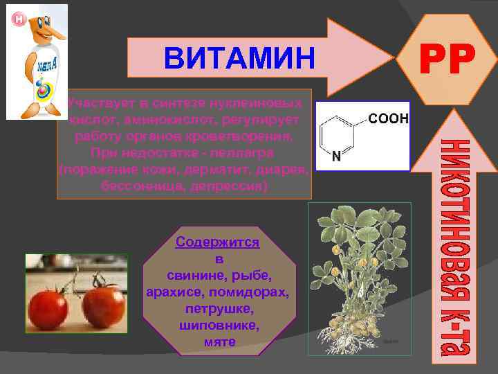 ВИТАМИН Участвует в синтезе нуклеиновых кислот, аминокислот, регулирует работу органов кроветворения. При недостатке -
