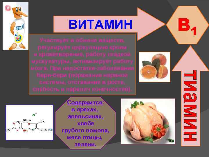 ВИТАМИН Участвует в обмене веществ, регулирует циркуляцию крови и кроветворение, работу гладкой мускулатуры, активизирует