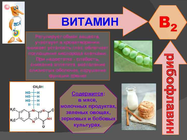 ВИТАМИН Регулирует обмен веществ, участвует в кроветворении, снижает усталость глаз, облегчает поглощение кислорода клетками.