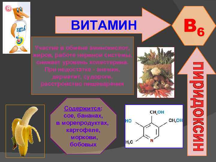 ВИТАМИН Участие в обмене аминокислот, жиров, работе нервной системы, снижает уровень холестерина. При недостатке