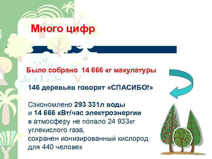 Много цифр Было собрано 14 666 кг макулатуры 146 деревьев говорят «СПАСИБО!» 144 дерева