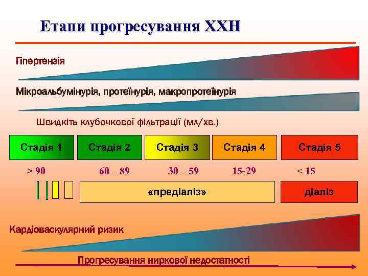 Етапи прогресування ХХН Гіпертензія Мікроальбумінурія, протеїнурія, макропротеїнурія Швидкіть клубочкової фільтрації (мл/хв. ) Стадія 1