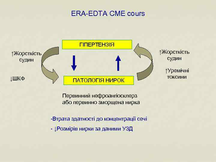 ERA-EDTA CME cours ГІПЕРТЕНЗІЯ ↑Жорсткість судин ↓ШКФ ПАТОЛОГІЯ НИРОК Первинний нефроангіосклерз або первинно зморщена