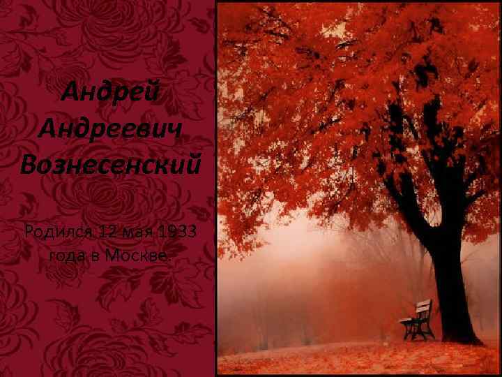 Андрей Андреевич Вознесенский Родился 12 мая 1933 года в Москве. 
