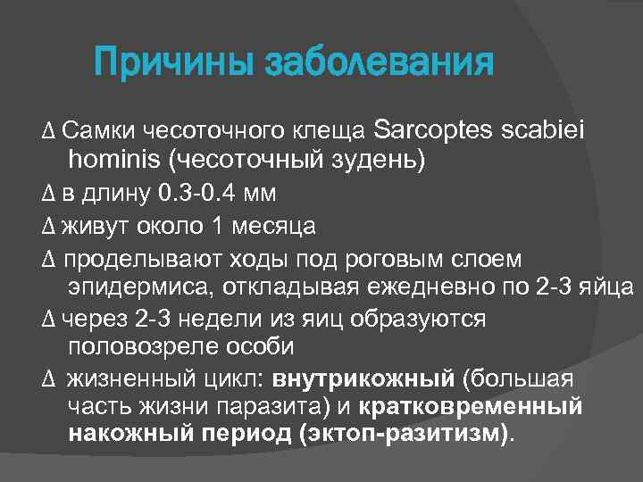 Причины заболевания Δ Самки чесоточного клеща Sarcoptes scabiei hominis (чесоточный зудень) Δ в длину