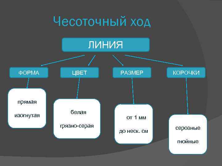 Чесоточный ход ЛИНИЯ ФОРМА ЦВЕТ РАЗМЕР КОРОЧКИ прямая изогнутая ббелая грязно-серая отот 1 мм