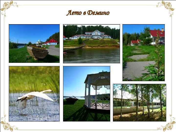 Лето в Демино 