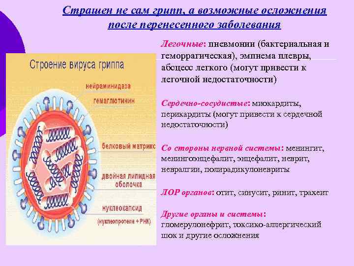 Страшен не сам грипп, а возможные осложнения после перенесенного заболевания Легочные: пневмонии (бактериальная и