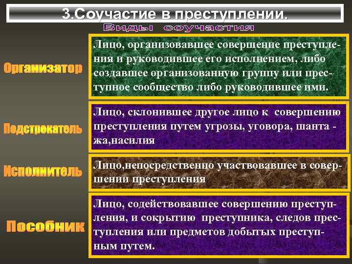 3. Соучастие в преступлении. Лицо, организовавшее совершение преступления и руководившее его исполнением, либо создавшее