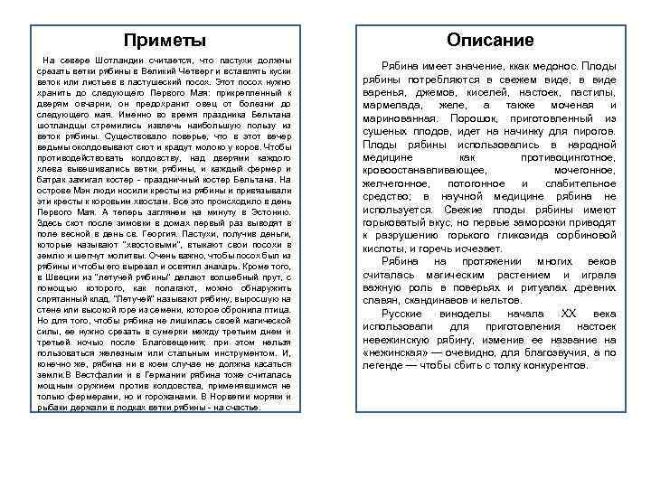 Приметы На севере Шотландии считается, что пастухи должны срезать ветки рябины в Великий Четверг