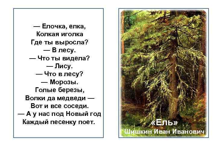 Песня ели ели или. Елка елка елочка колкая Иголочка. Елочка елочка колкая Иголочка стих. Ёлочка ёлка колкая иголка текст. Ёлочка ёлка колкая иголка текст песни.