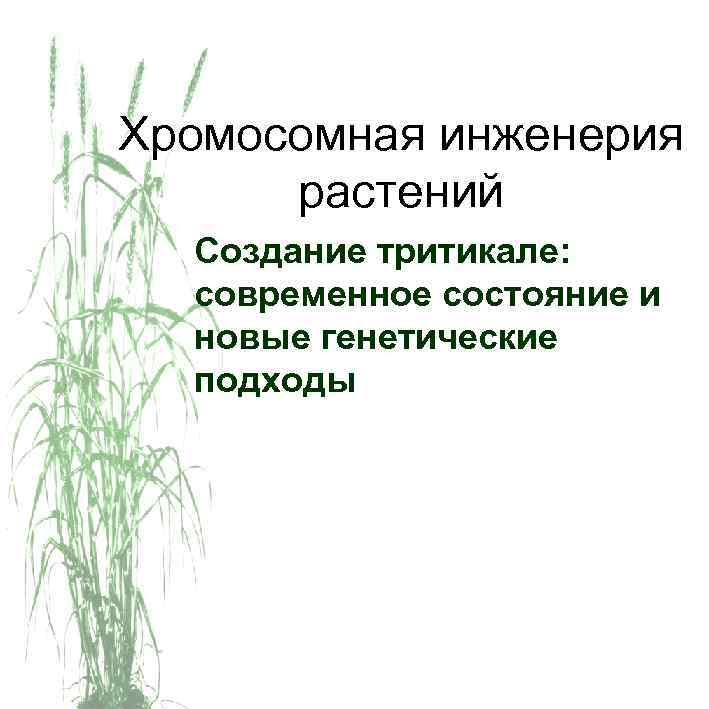 Хромосомная инженерия растений Создание тритикале: современное состояние и новые генетические подходы 