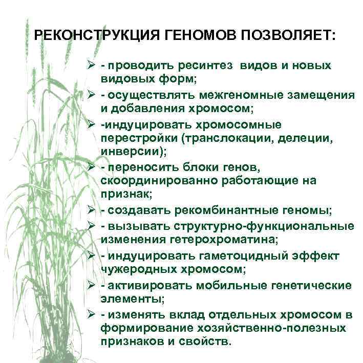 РЕКОНСТРУКЦИЯ ГЕНОМОВ ПОЗВОЛЯЕТ: Ø - проводить ресинтез видов и новых видовых форм; Ø -