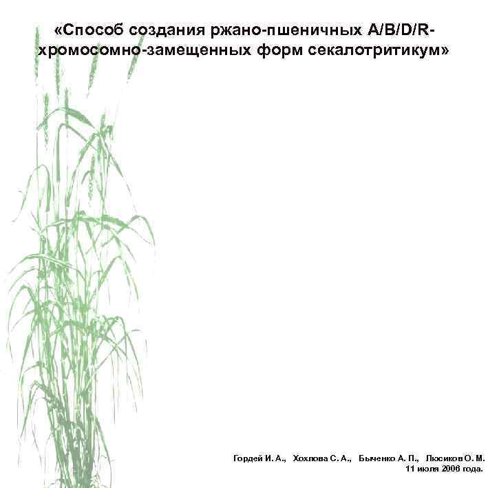  «Способ создания ржано-пшеничных A/B/D/Rхромосомно-замещенных форм секалотритикум» Гордей И. А. , Хохлова С. А.