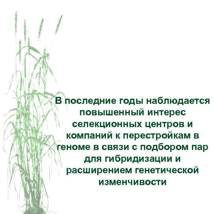 В последние годы наблюдается повышенный интерес селекционных центров и компаний к перестройкам в геноме