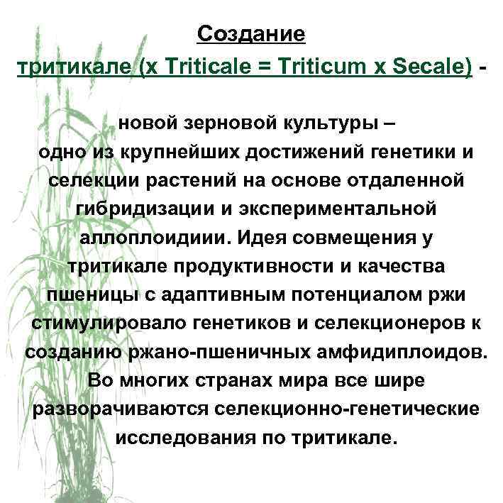 Создание тритикале (x Triticale = Triticum x Secale) новой зерновой культуры – одно из