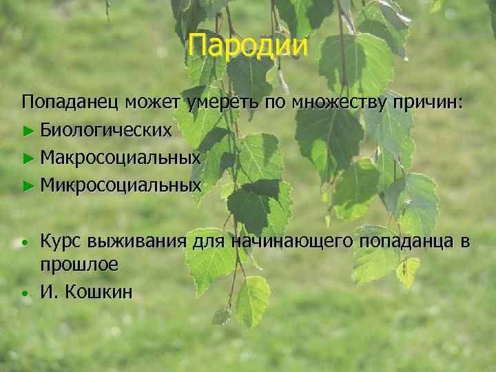 Пародии Попаданец может умереть по множеству причин: ► Биологических ► Макросоциальных ► Микросоциальных Курс