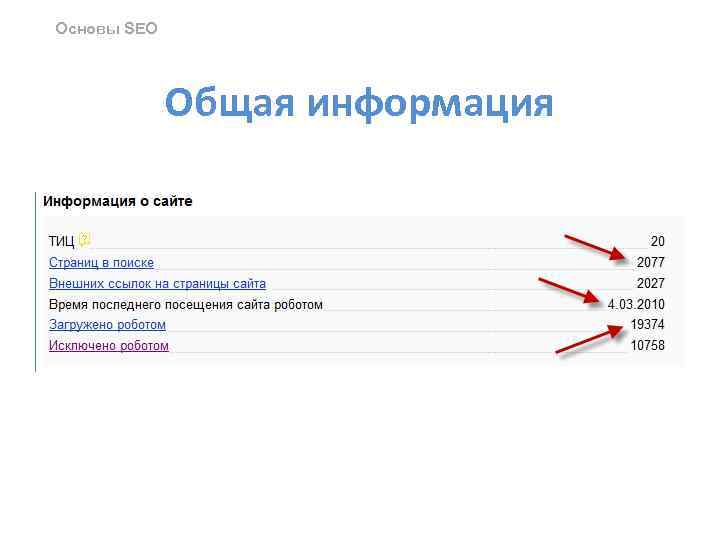 Основы SEO Общая информация 