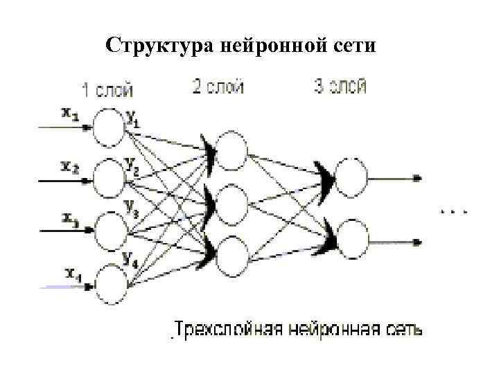 Структура нейронной сети ANNs are taught by system developer at concrete cases. While teaching