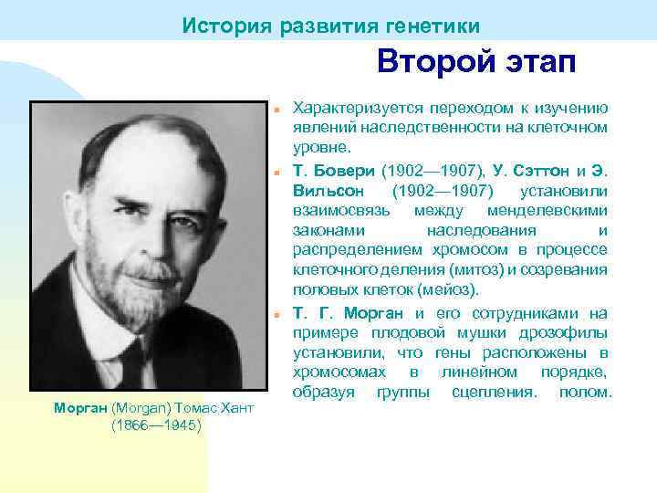 История развития генетики Второй этап n n n Морган (Morgan) Томас Хант (1866— 1945)