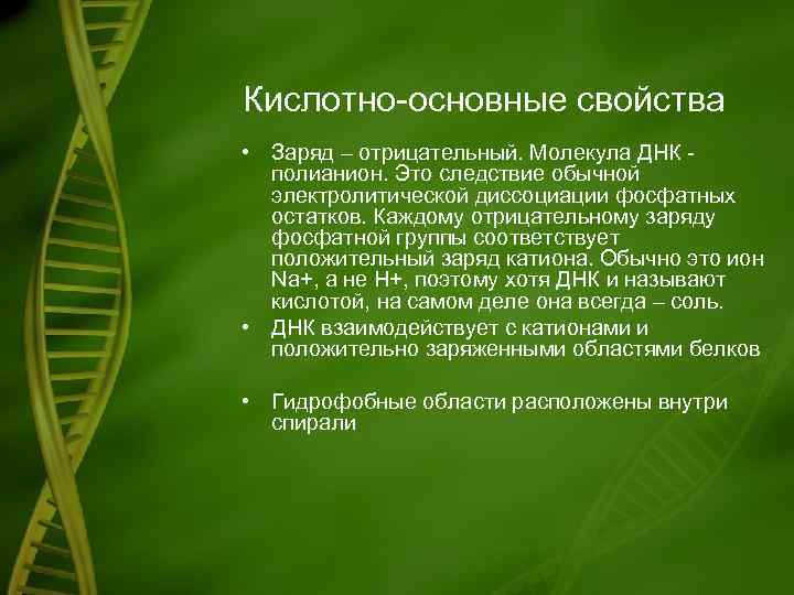 Кислотно-основные свойства • Заряд – отрицательный. Молекула ДНК полианион. Это следствие обычной электролитической диссоциации