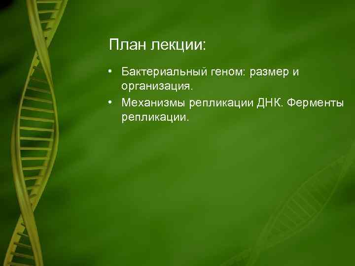 План лекции: • Бактериальный геном: размер и организация. • Механизмы репликации ДНК. Ферменты репликации.