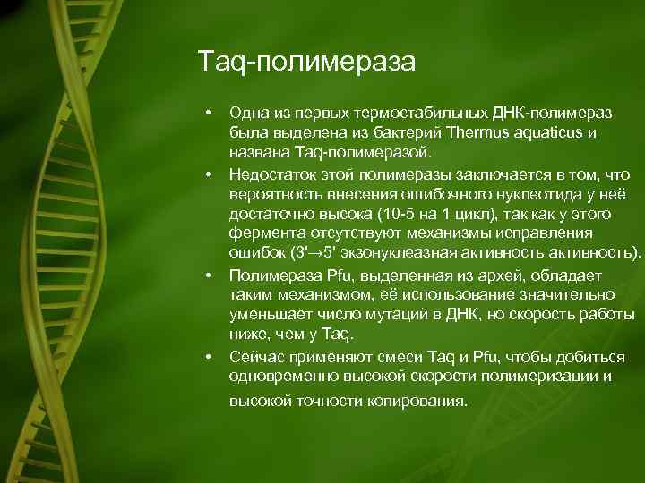 Taq-полимераза • • Одна из первых термостабильных ДНК-полимераз была выделена из бактерий Thermus aquaticus